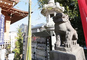 日枝神社の拝殿横の狛犬